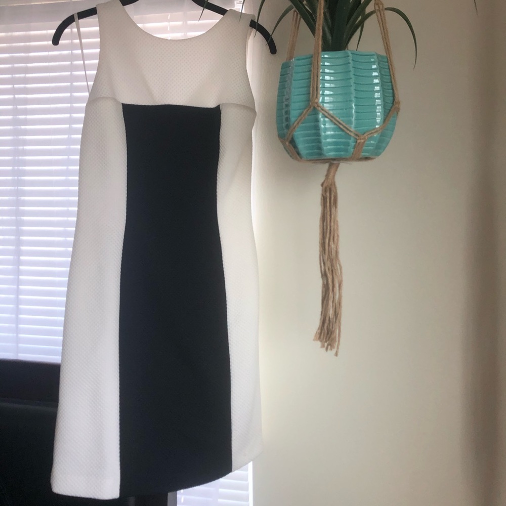 Black and White Ralph Lauren Dress